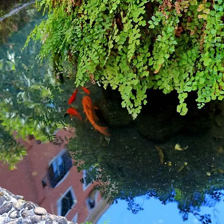 Vatican Secret Garden Апартаменты *
